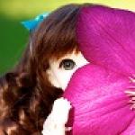 Приехала моя пукифи Анте!!! Знакомьтесь - Амели!!! Добавила бонусную фотку :) !!!!!