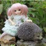 Бэлла Луна! Моя новая Littlefee Luna от Fairyland