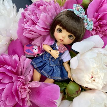 Некоторые цветочки моего сада