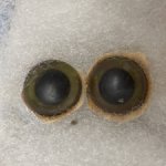 Глаза пластиковые от винтажной игрушки