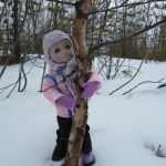 Прогулка по майскому лесу