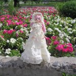 Летняя прогулка с куколкой J-doll Koningslign. Просто топик к небольшому юбилейчику)
