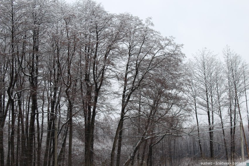 Девочки Lori на зимней прогулке