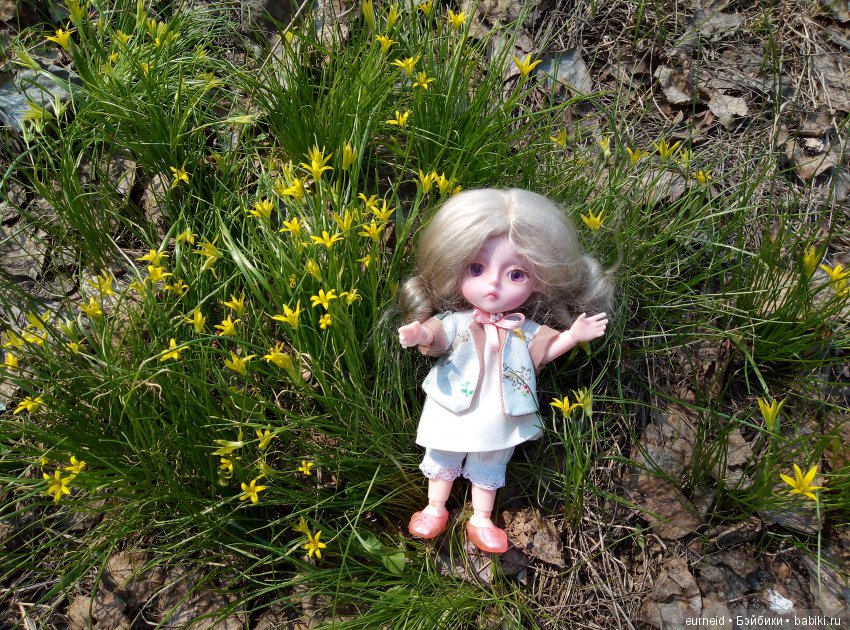 Отважная исследовательница ольшаных болот