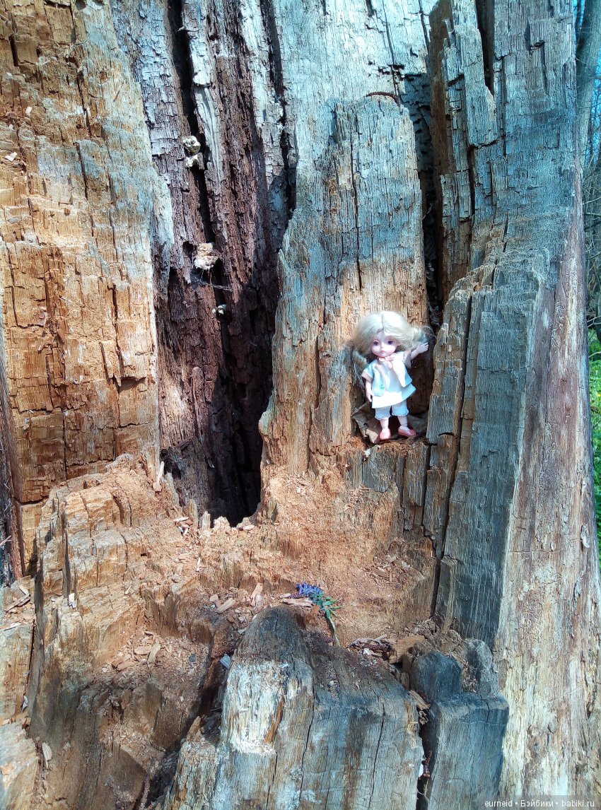 Отважная исследовательница ольшаных болот (фото 5)