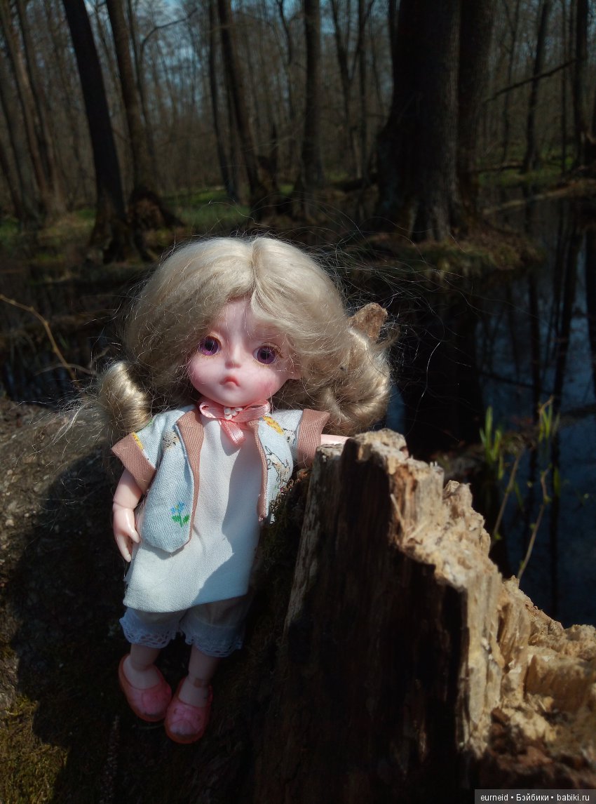 Отважная исследовательница ольшаных болот (фото 9)