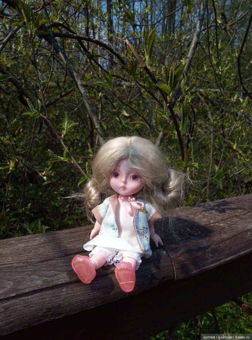 Отважная исследовательница ольшаных болот (фото 10)