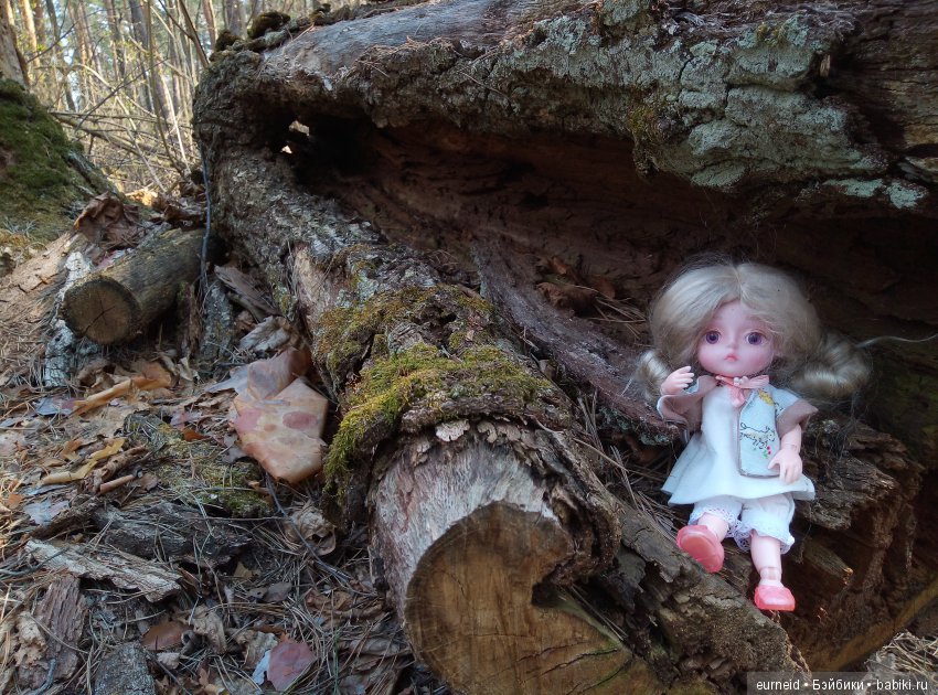 Отважная исследовательница ольшаных болот