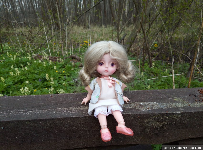 Отважная исследовательница ольшаных болот (фото 3)