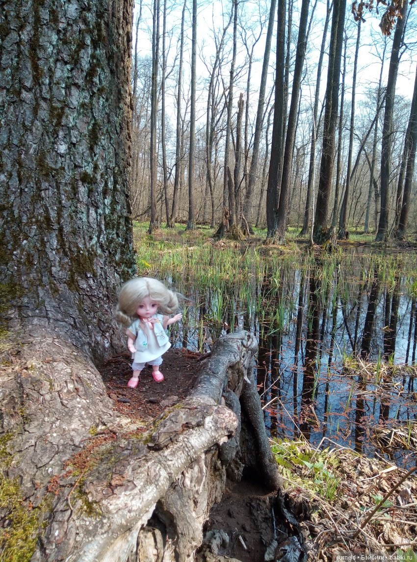 Отважная исследовательница ольшаных болот (фото 6)