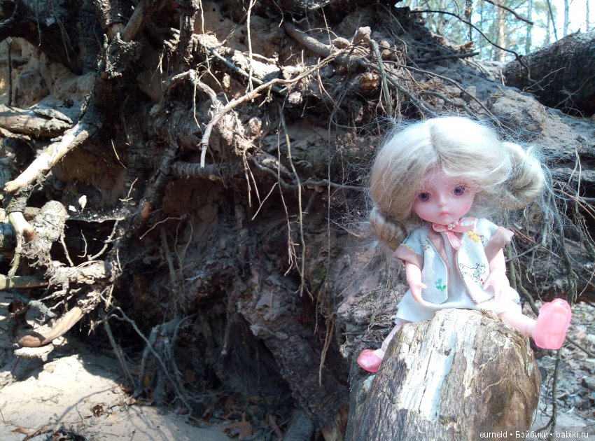 Отважная исследовательница ольшаных болот