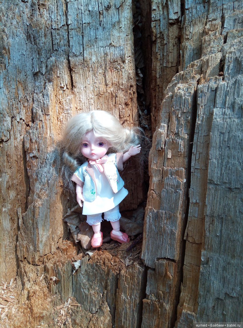 Отважная исследовательница ольшаных болот (фото 4)