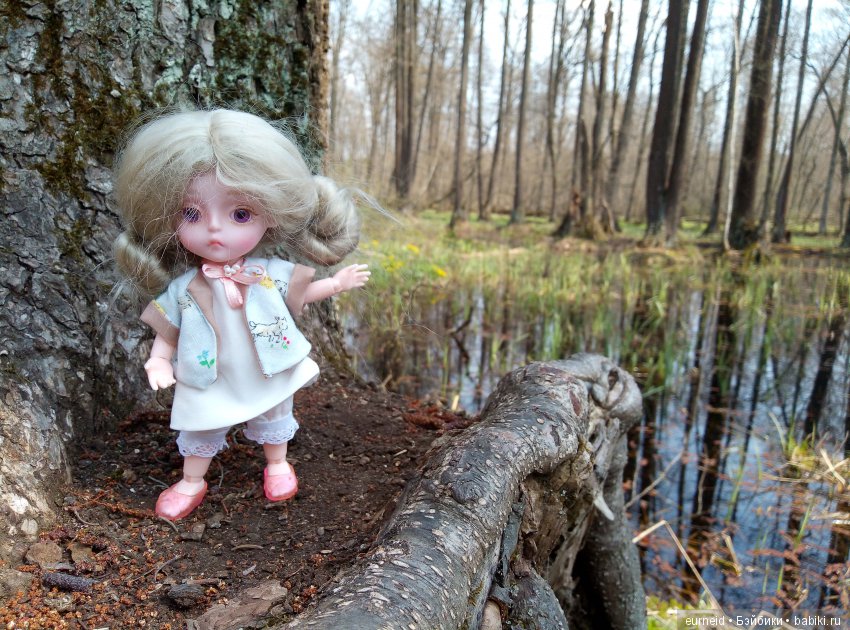 Отважная исследовательница ольшаных болот (фото 7)