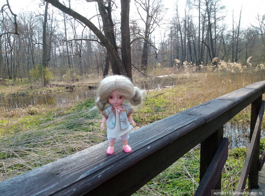 Отважная исследовательница ольшаных болот