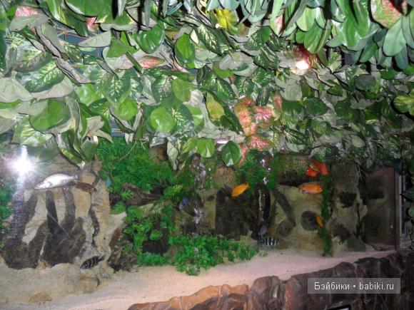 Лондонские заметки, или, Вы что, сюда жрать приехали? Часть 2