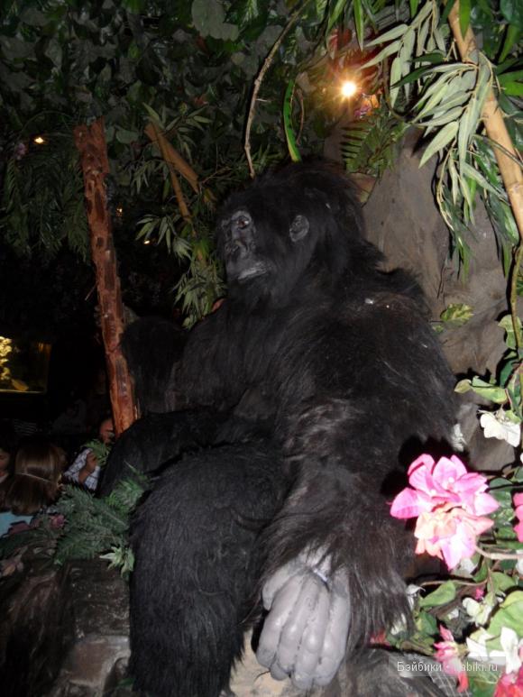 Лондонские заметки, или, Вы что, сюда жрать приехали? Часть 2