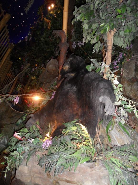 Лондонские заметки, или, Вы что, сюда жрать приехали? Часть 2