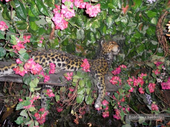 Лондонские заметки, или, Вы что, сюда жрать приехали? Часть 2