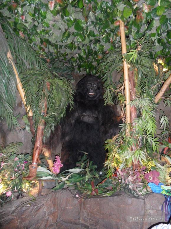 Лондонские заметки, или, Вы что, сюда жрать приехали? Часть 2