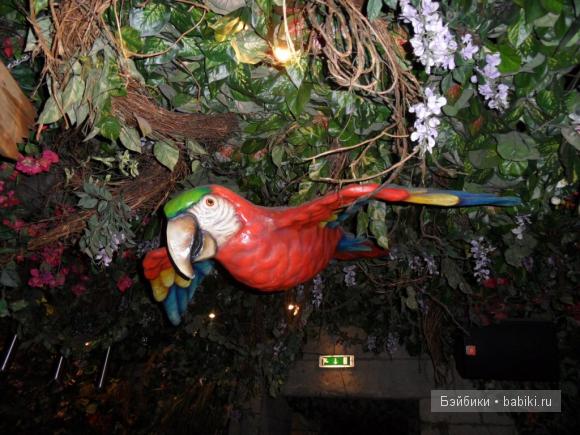 Лондонские заметки, или, Вы что, сюда жрать приехали? Часть 2