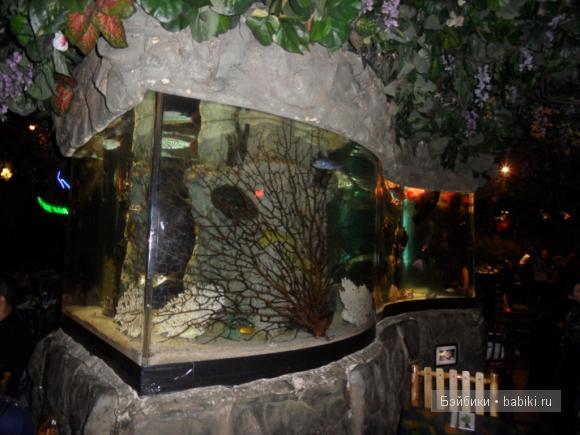 Лондонские заметки, или, Вы что, сюда жрать приехали? Часть 2