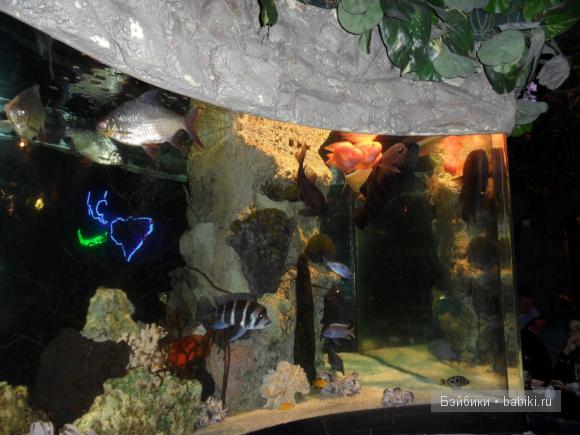 Лондонские заметки, или, Вы что, сюда жрать приехали? Часть 2