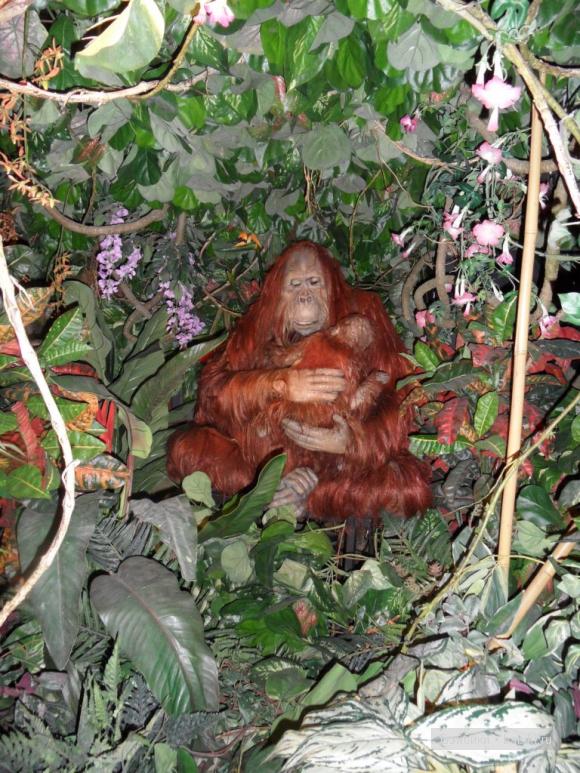 Лондонские заметки, или, Вы что, сюда жрать приехали? Часть 2