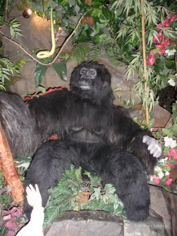 Лондонские заметки, или, Вы что, сюда жрать приехали? Часть 2