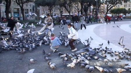 «Звериный оскал капитализма» (что ждёт вас на Коста Даураде) - Часть 1 (фото 2)