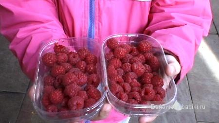 «Звериный оскал капитализма» (что ждёт вас на Коста Даураде) - Часть 2 (фото 7)