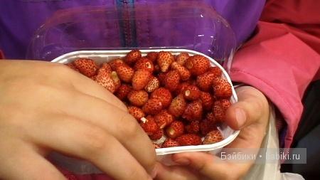 «Звериный оскал капитализма» (что ждёт вас на Коста Даураде) - Часть 2 (фото 8)