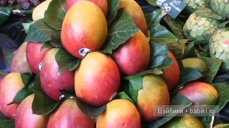 «Звериный оскал капитализма» (что ждёт вас на Коста Даураде) - Часть 2 (фото 9)