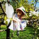 Кто полюбит бабочку?