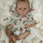 Если бы тейлоры всей земли вместе однажды собраться могли...