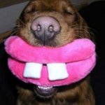 Помешанная Лин и реборн за день. Коллекция из более 1800 кукол