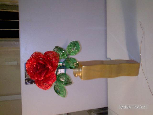 Мои увлечения — Другие хобби и увлечения: сад (фото 2)