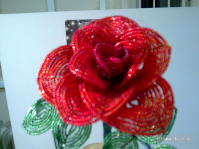 Мои увлечения — Другие хобби и увлечения: сад (фото 3)