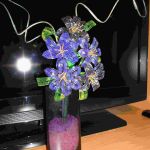 Мои увлечения