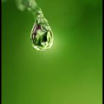 Ни какой гарантии