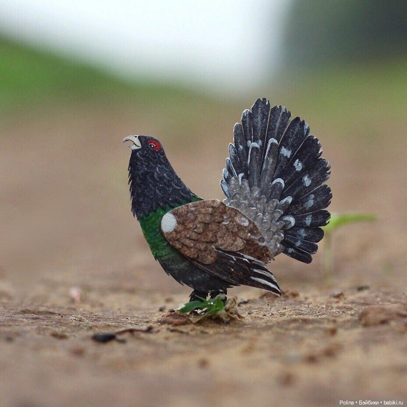 Ювелирная стая из бумаги: микро-шедевры Наяны Шримали и Венеры Берд