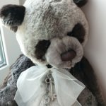 Большой медвежонок Charlie bears