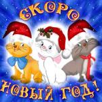 Заветное желание...