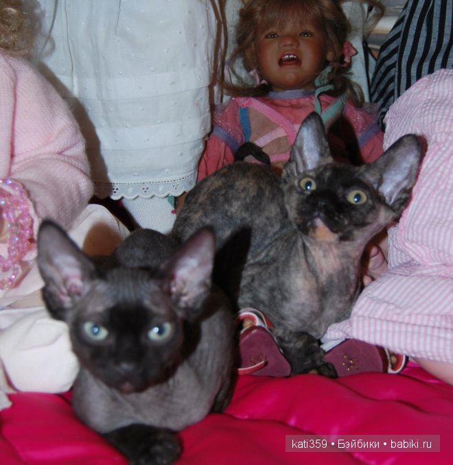 Мои куклята и любимые питомцы