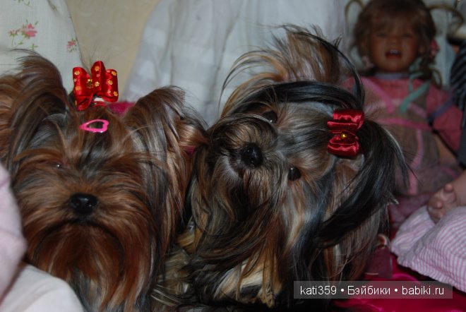 Мои куклята и любимые питомцы