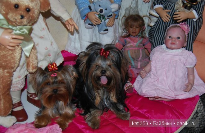 Мои куклята и любимые питомцы (фото 7)