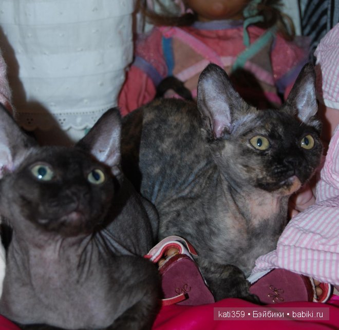 Мои куклята и любимые питомцы