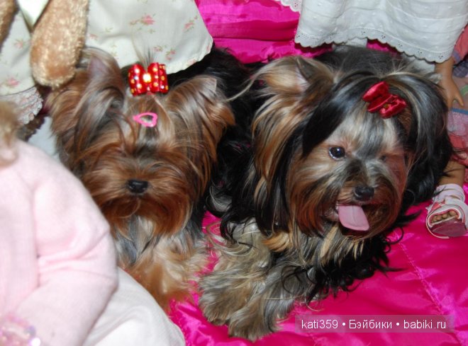 Мои куклята и любимые питомцы