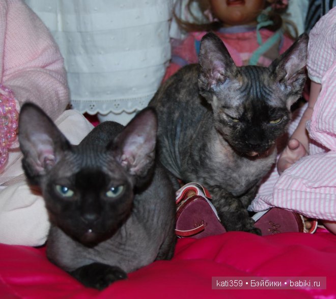 Мои куклята и любимые питомцы