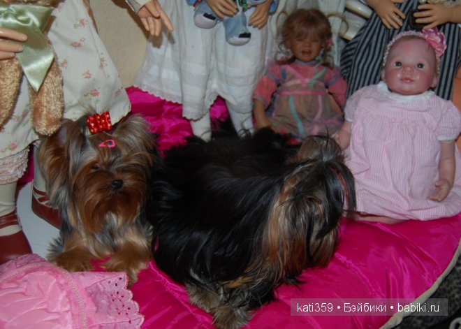 Мои куклята и любимые питомцы (фото 6)