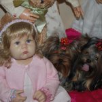 Мои куклята и любимые питомцы.